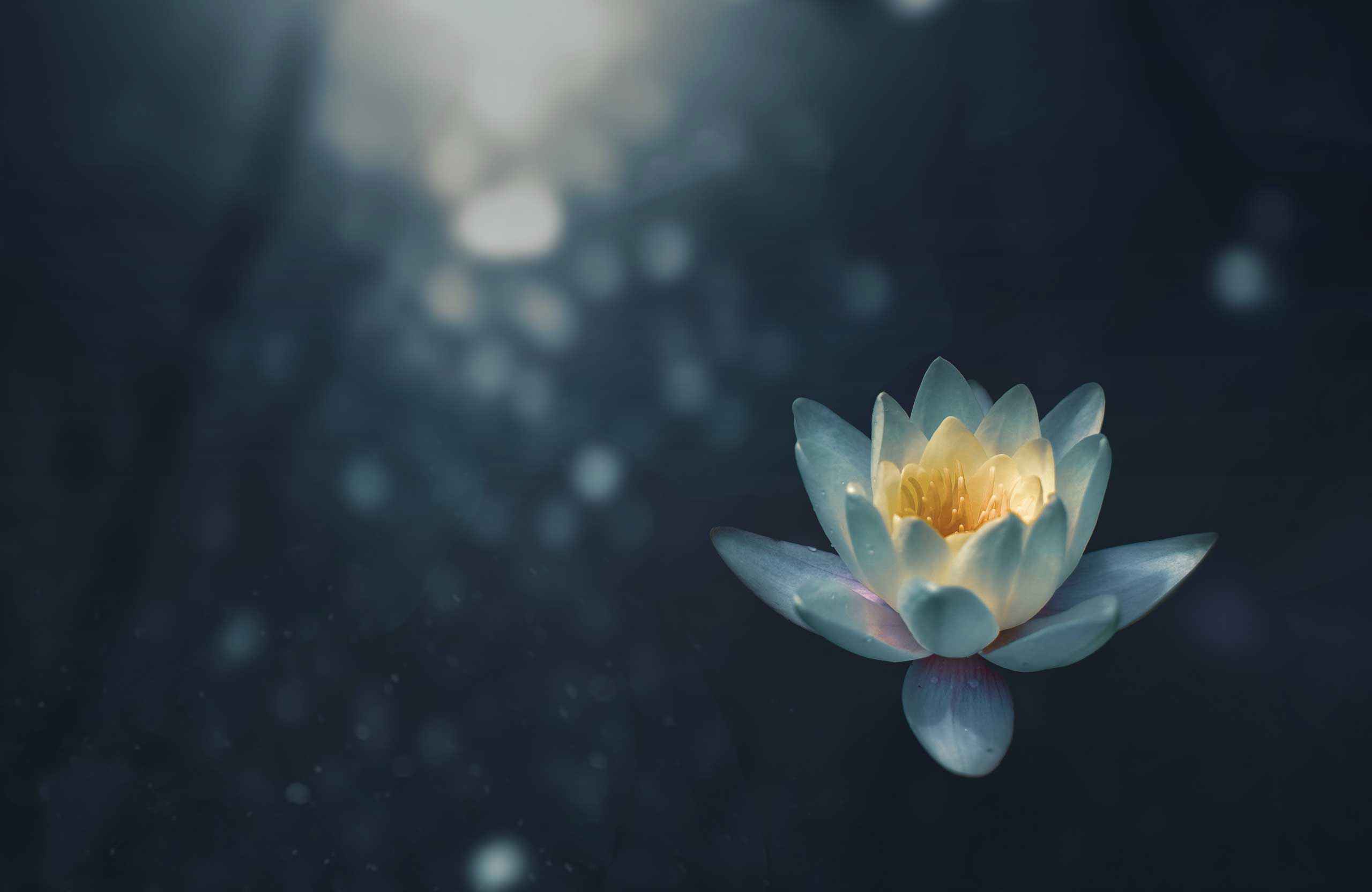 hero image description